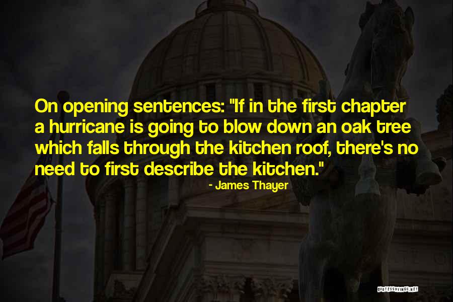 Najim Comedy Quotes By James Thayer Najim Comedy Quotes By James Thayer