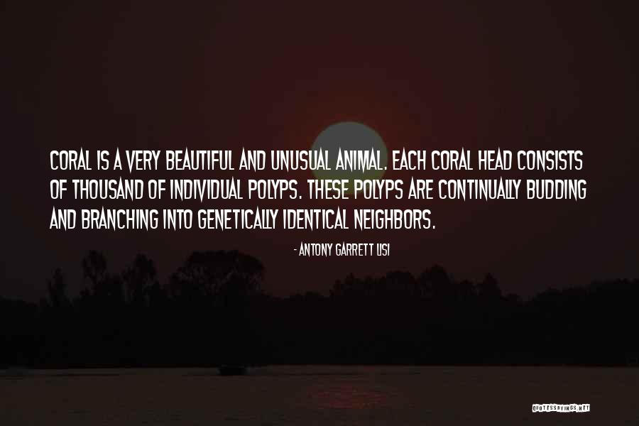 Najme Minhaj Quotes By Antony Garrett Lisi Najme Minhaj Quotes By Antony Garrett Lisi