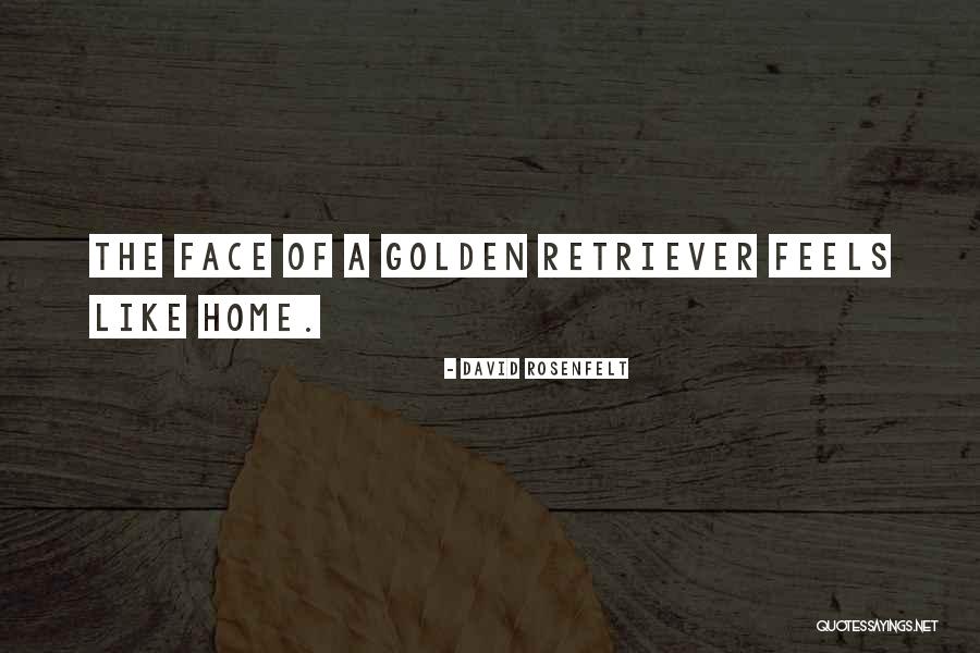 Najmsat2018 Quotes By David Rosenfelt Najmsat2018 Quotes By David Rosenfelt