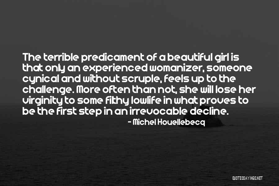 Nakatsuka Mei Quotes By Michel Houellebecq Nakatsuka Mei Quotes By Michel Houellebecq