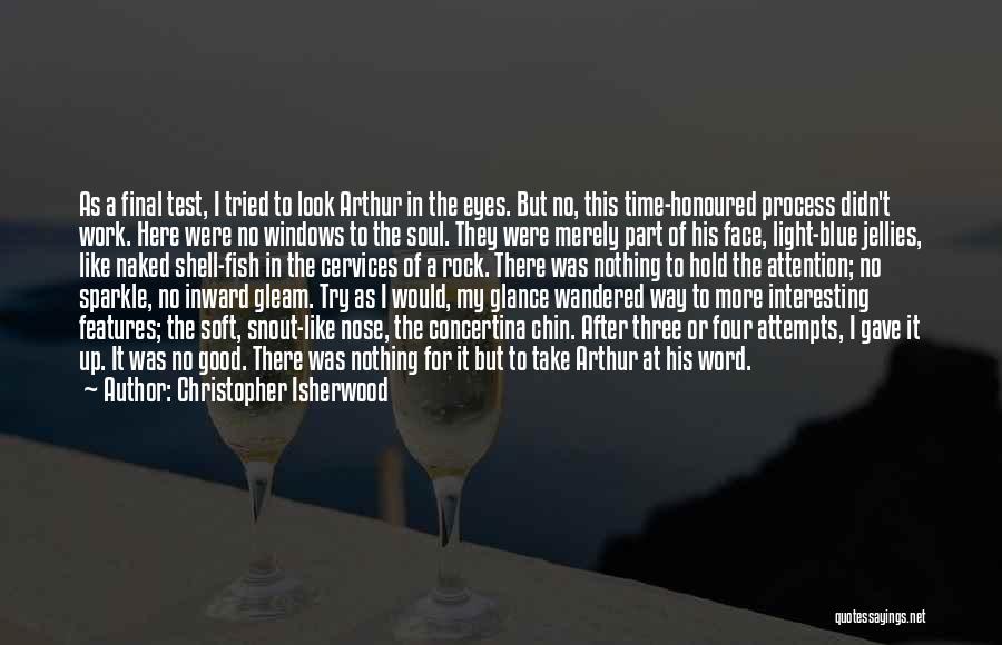 Naked Eyes Quotes By Christopher Isherwood