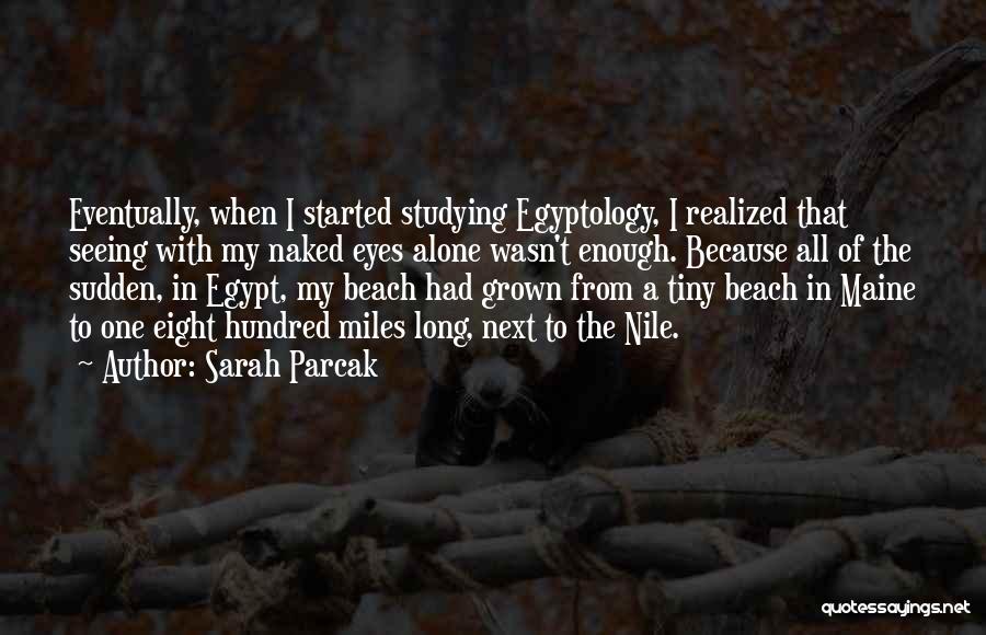 Naked Eyes Quotes By Sarah Parcak