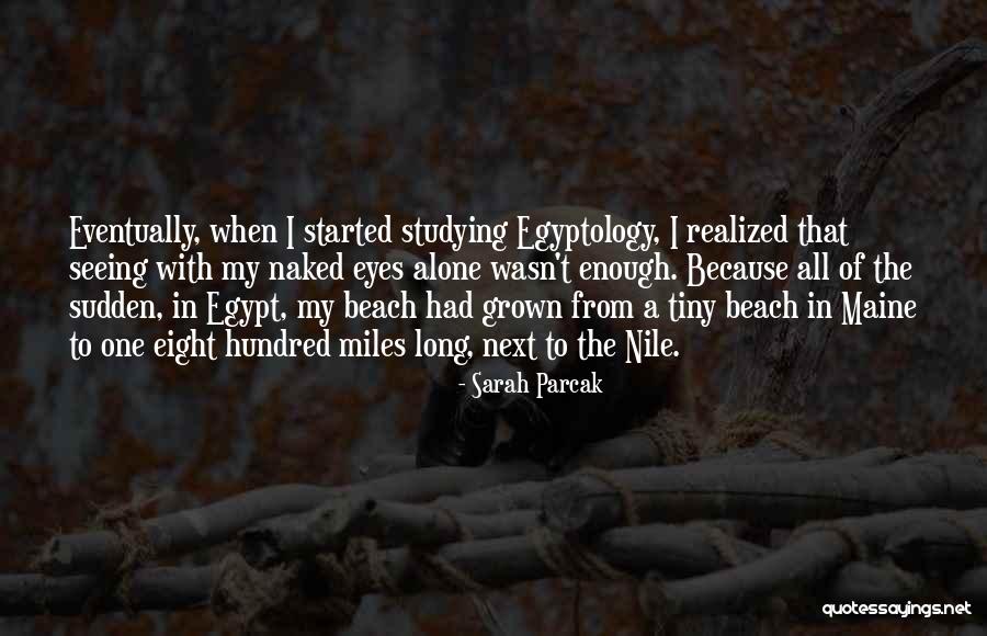Naked Eyes Quotes By Sarah Parcak Naked Eyes Quotes By Sarah Parcak