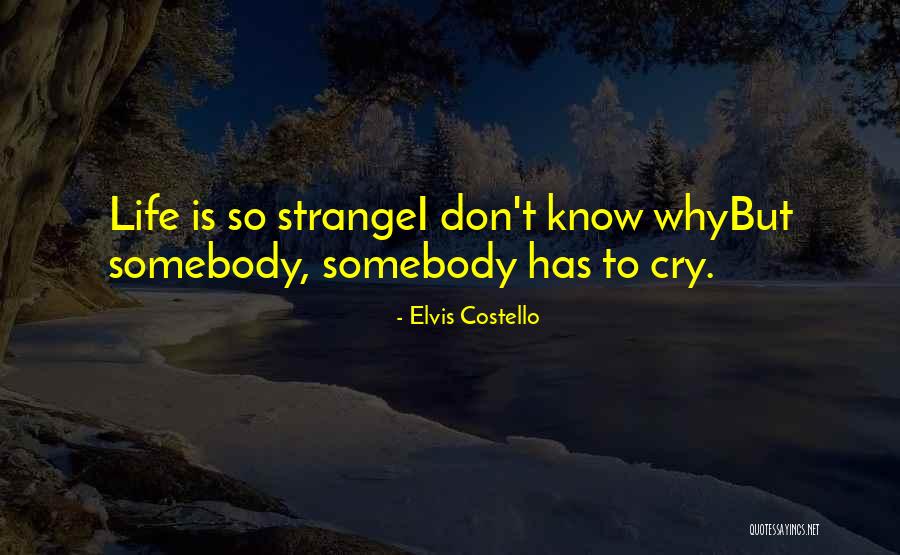 Nakima Thompson Quotes By Elvis Costello Nakima Thompson Quotes By Elvis Costello