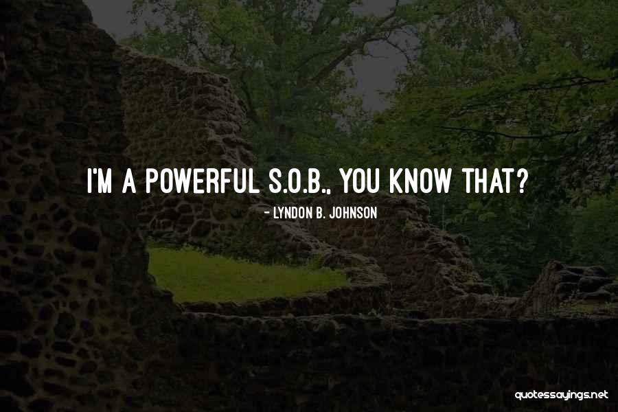 Nakiye Boyacigiller Quotes By Lyndon B. Johnson Nakiye Boyacigiller Quotes By Lyndon B. Johnson