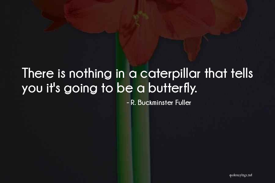 Naknadno Izdat Quotes By R. Buckminster Fuller Naknadno Izdat Quotes By R. Buckminster Fuller