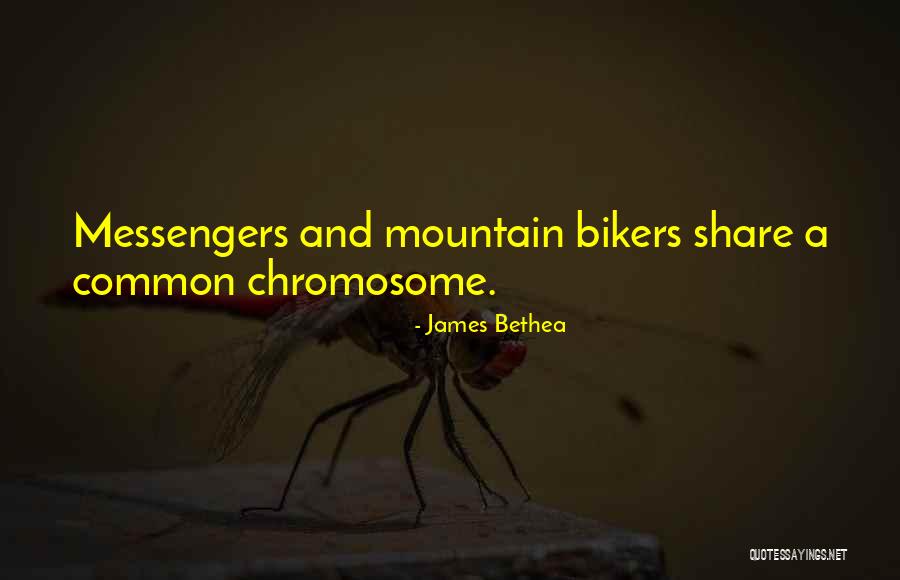 Nakshatram Malayalam Quotes By James Bethea Nakshatram Malayalam Quotes By James Bethea
