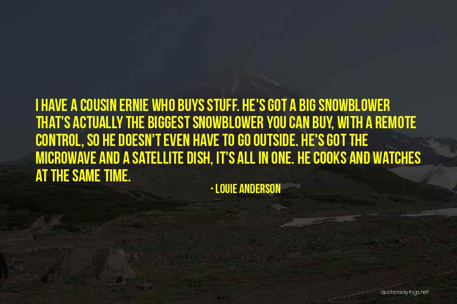 Nakul Kapoor Quotes By Louie Anderson Nakul Kapoor Quotes By Louie Anderson