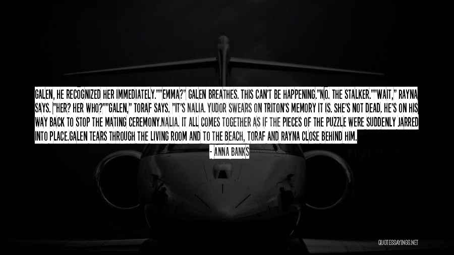 Nalia Quotes By Anna Banks Nalia Quotes By Anna Banks