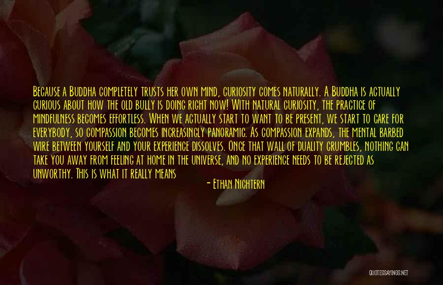 Namai Vilniuje Quotes By Ethan Nichtern