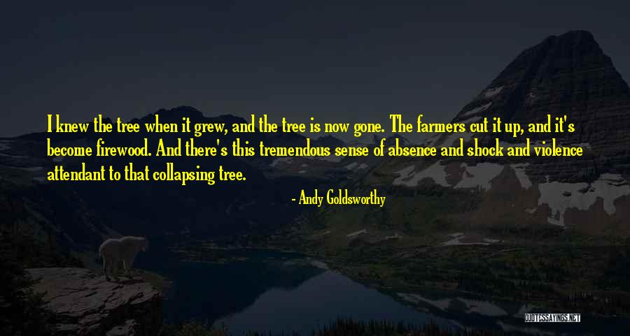 Name Alexis Quotes By Andy Goldsworthy Name Alexis Quotes By Andy Goldsworthy