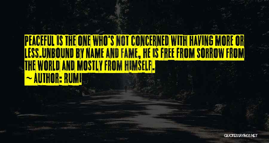 Name And Fame Quotes By Rumi
