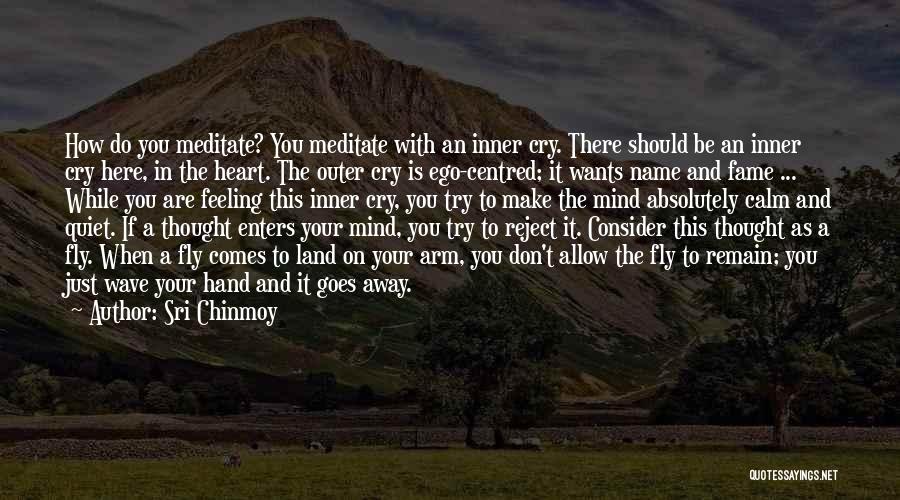 Name And Fame Quotes By Sri Chinmoy