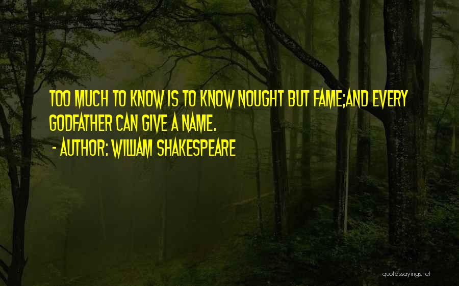 Name And Fame Quotes By William Shakespeare