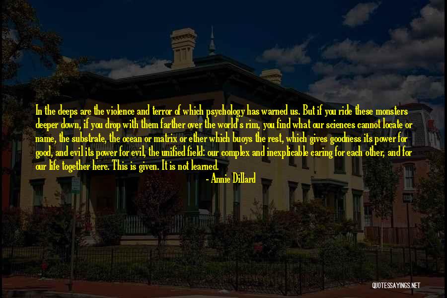 Name Drop Quotes By Annie Dillard Name Drop Quotes By Annie Dillard