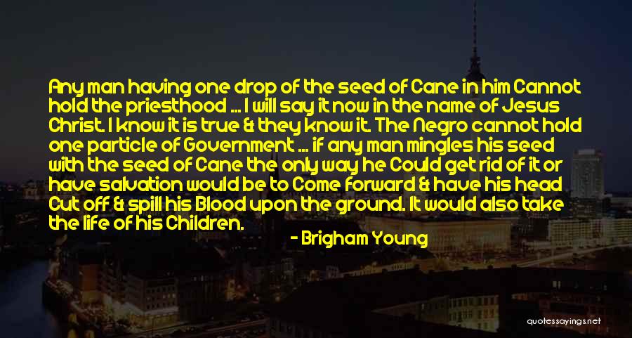Name Drop Quotes By Brigham Young Name Drop Quotes By Brigham Young