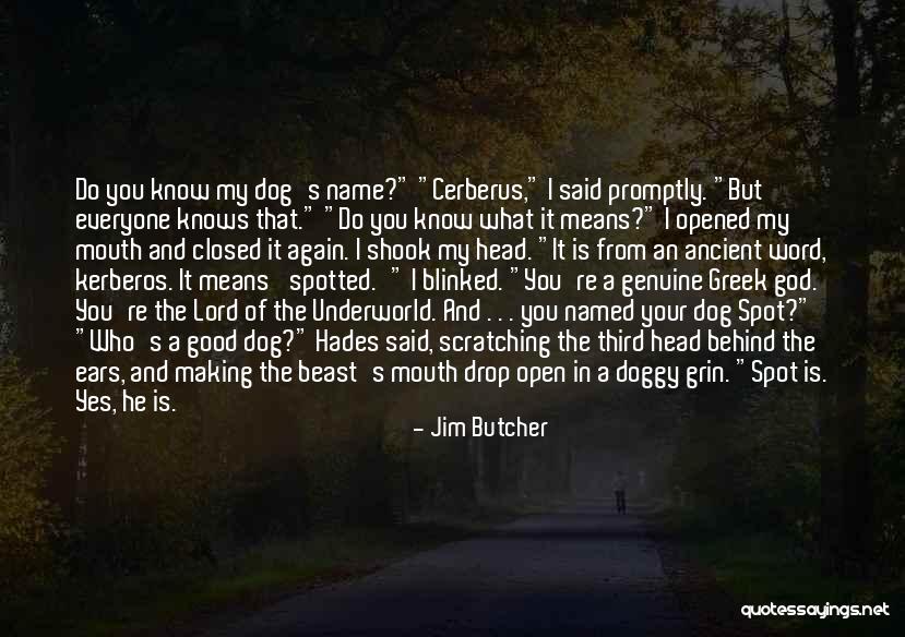 Name Drop Quotes By Jim Butcher Name Drop Quotes By Jim Butcher