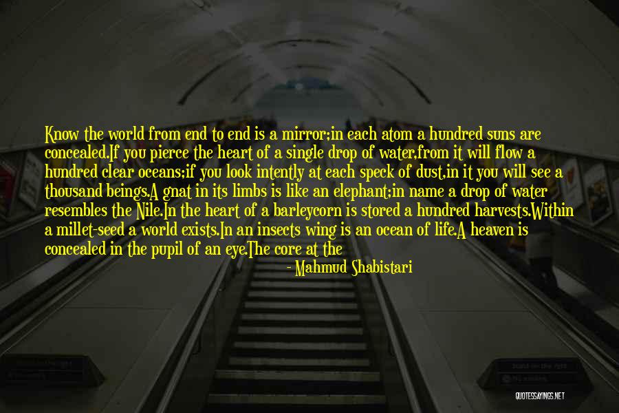 Name Drop Quotes By Mahmud Shabistari Name Drop Quotes By Mahmud Shabistari