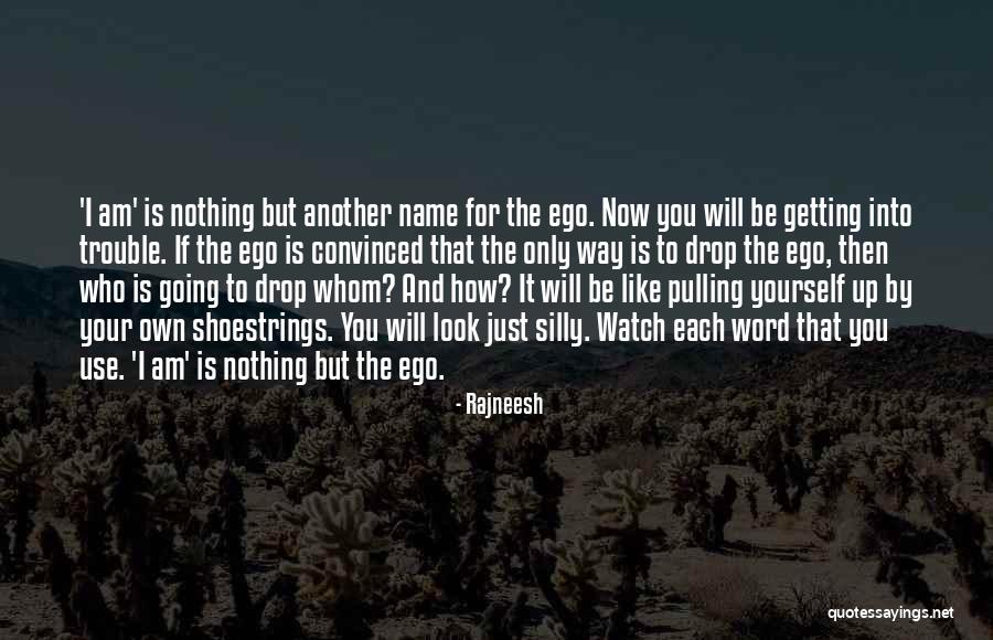 Name Drop Quotes By Rajneesh Name Drop Quotes By Rajneesh