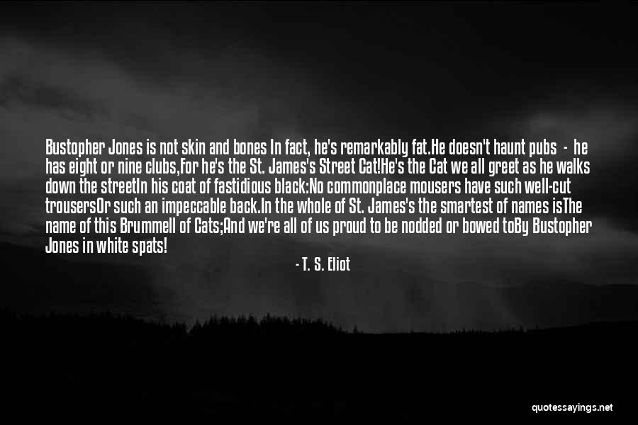 Name For Cats Quotes By T. S. Eliot Name For Cats Quotes By T. S. Eliot