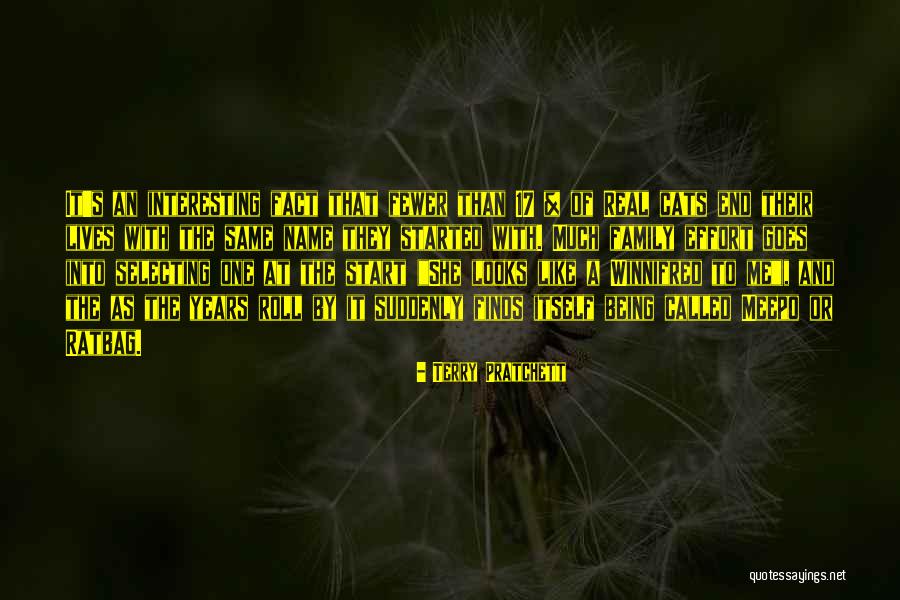 Name For Cats Quotes By Terry Pratchett Name For Cats Quotes By Terry Pratchett