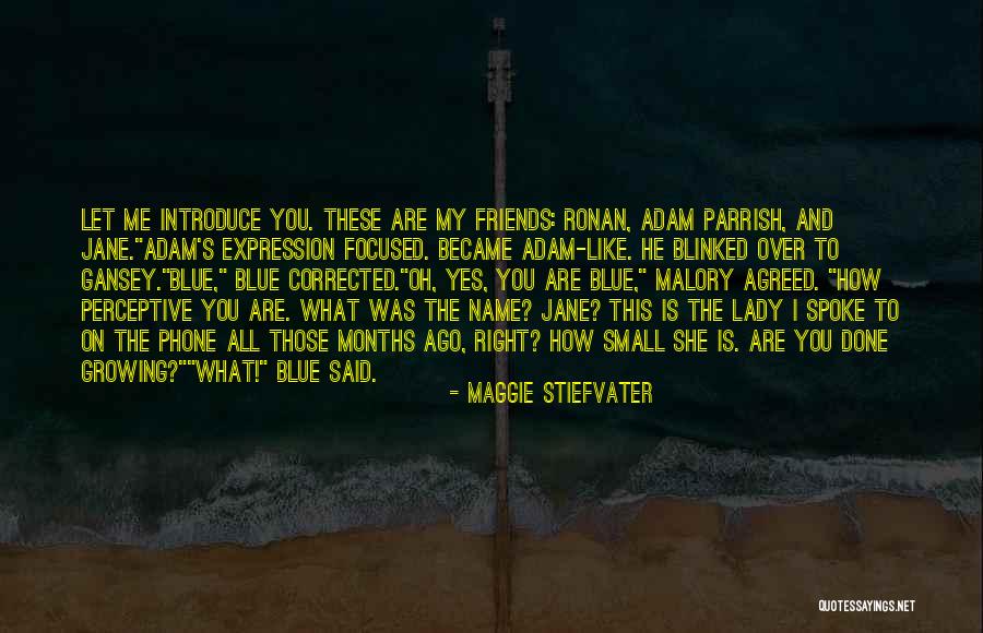 Name Funny Quotes By Maggie Stiefvater Name Funny Quotes By Maggie Stiefvater