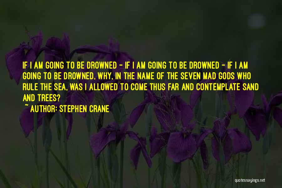 Name In The Sand Quotes By Stephen Crane