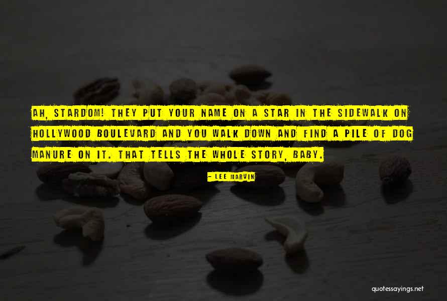 Name Of The Star Quotes By Lee Marvin Name Of The Star Quotes By Lee Marvin