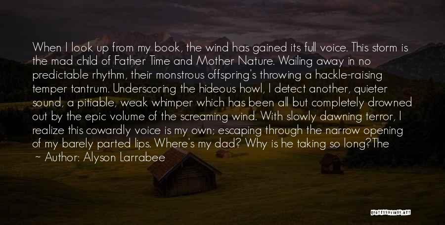 Name Of Wind Quotes By Alyson Larrabee