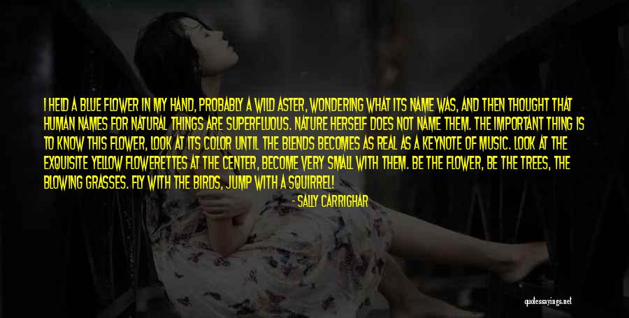 Name Sally Quotes By Sally Carrighar Name Sally Quotes By Sally Carrighar