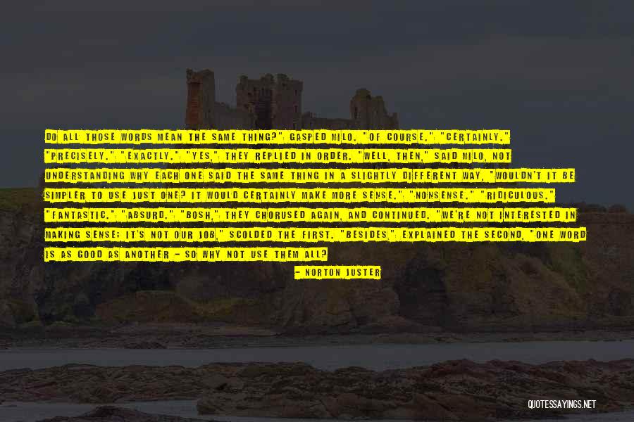 Namelessly Quotes By Norton Juster Namelessly Quotes By Norton Juster