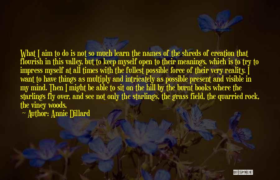 Names And Meanings Quotes By Annie Dillard