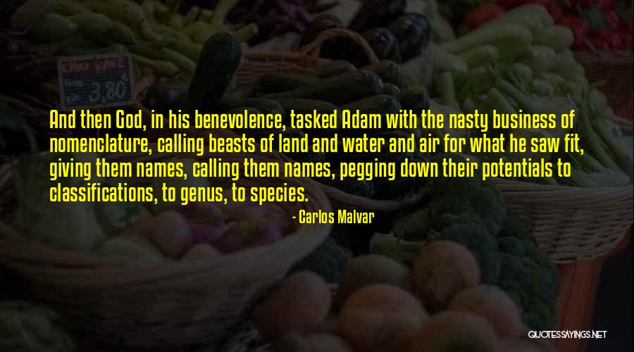 Names Quotes By Carlos Malvar Names Quotes By Carlos Malvar
