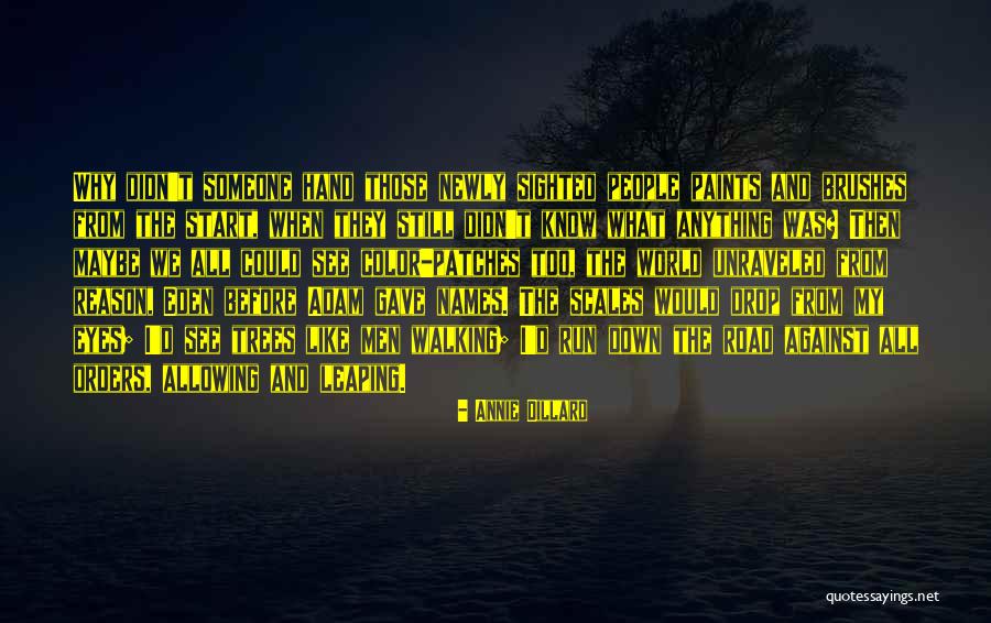Names That Start With R Quotes By Annie Dillard Names That Start With R Quotes By Annie Dillard