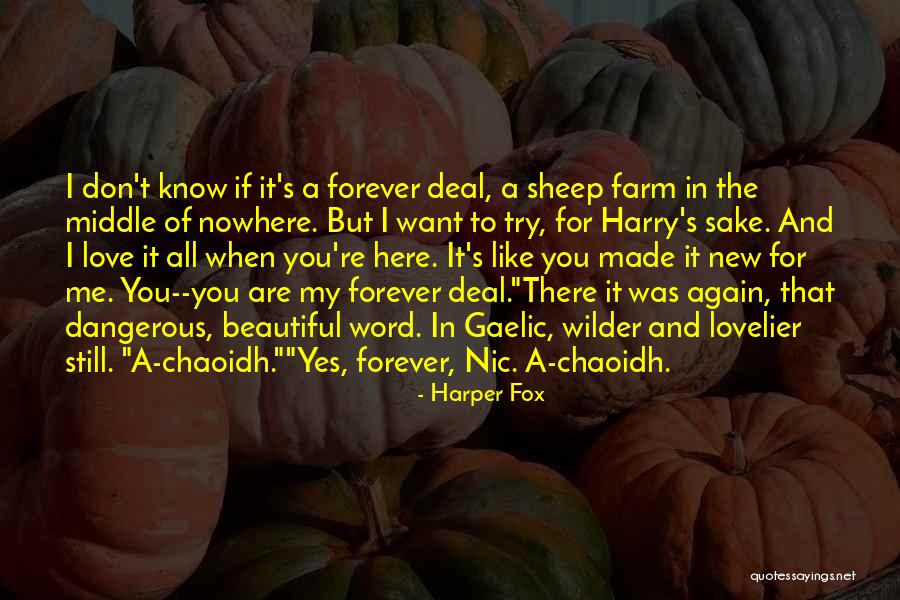 Namhi Quotes By Harper Fox Namhi Quotes By Harper Fox