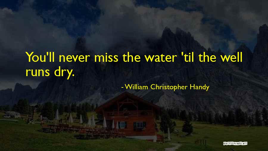 Namier Historian Quotes By William Christopher Handy Namier Historian Quotes By William Christopher Handy