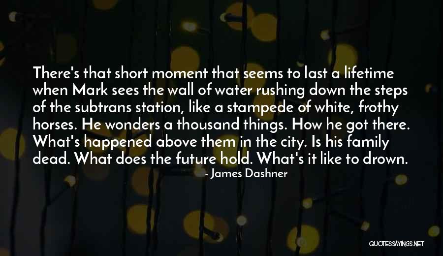 Namigoro Sumidagawa Quotes By James Dashner Namigoro Sumidagawa Quotes By James Dashner