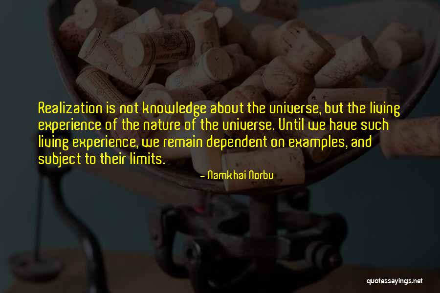 Namkhai Norbu Quotes 1305992 Namkhai Norbu Quotes 1305992