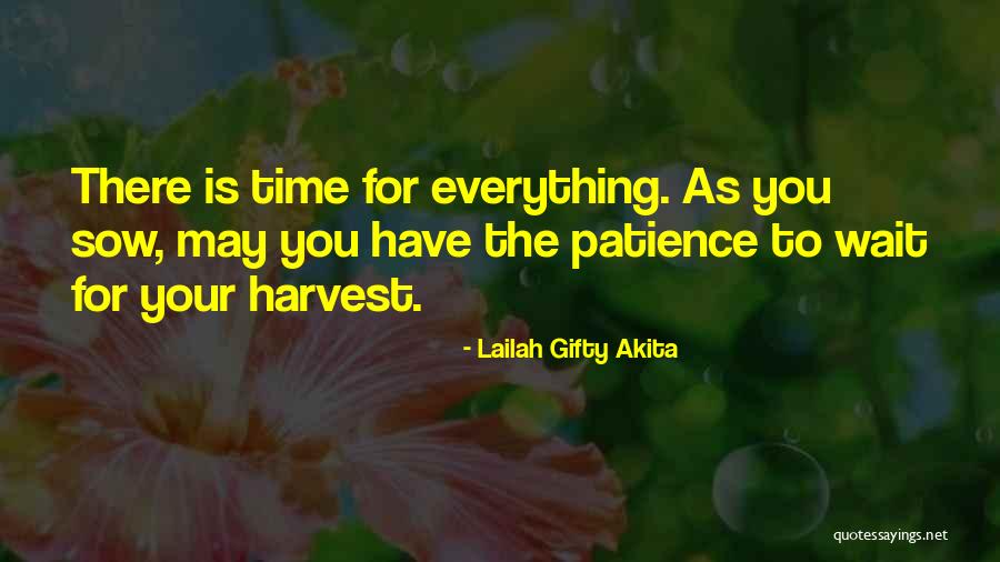 Namoro Blindado Quotes By Lailah Gifty Akita Namoro Blindado Quotes By Lailah Gifty Akita
