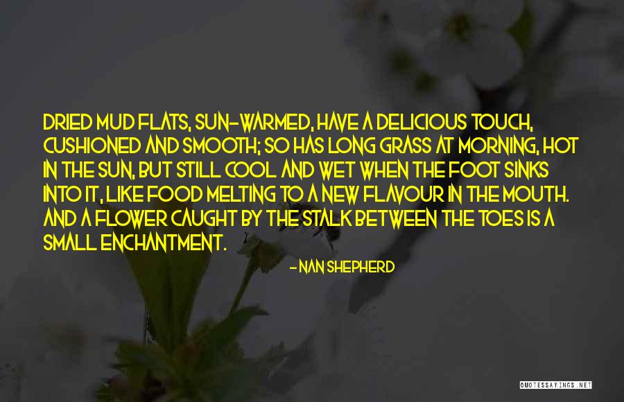 Nan Shepherd Quotes 1580701 Nan Shepherd Quotes 1580701