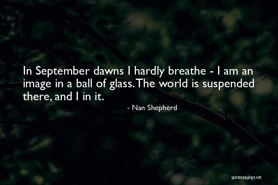 Nan Shepherd Quotes 376898 Nan Shepherd Quotes 376898