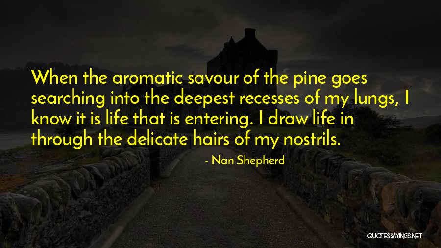 Nan Shepherd Quotes 671305 Nan Shepherd Quotes 671305