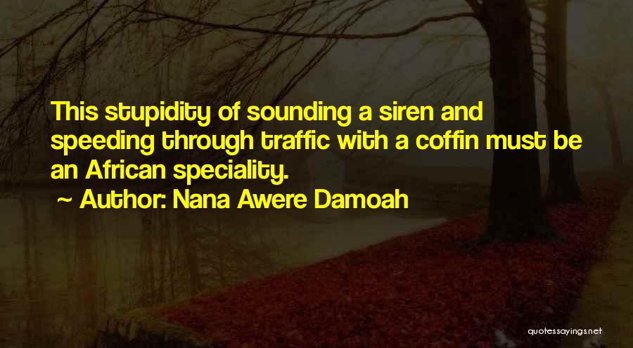 Nana Awere Damoah Quotes 1006774