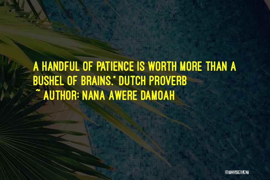 Nana Awere Damoah Quotes 1073388