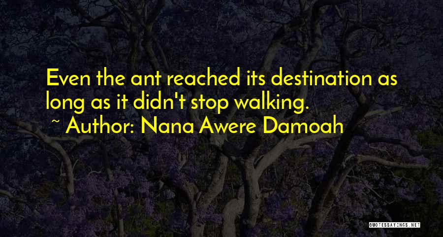 Nana Awere Damoah Quotes 1751940