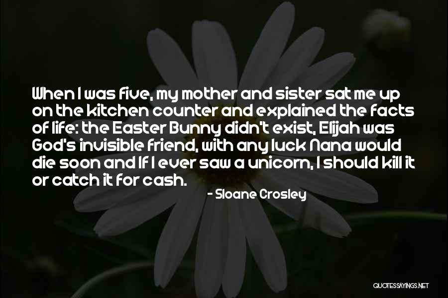 Nana Ever Quotes By Sloane Crosley Nana Ever Quotes By Sloane Crosley