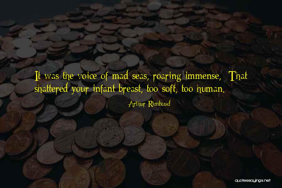 Nanaimo Chrysler Quotes By Arthur Rimbaud Nanaimo Chrysler Quotes By Arthur Rimbaud