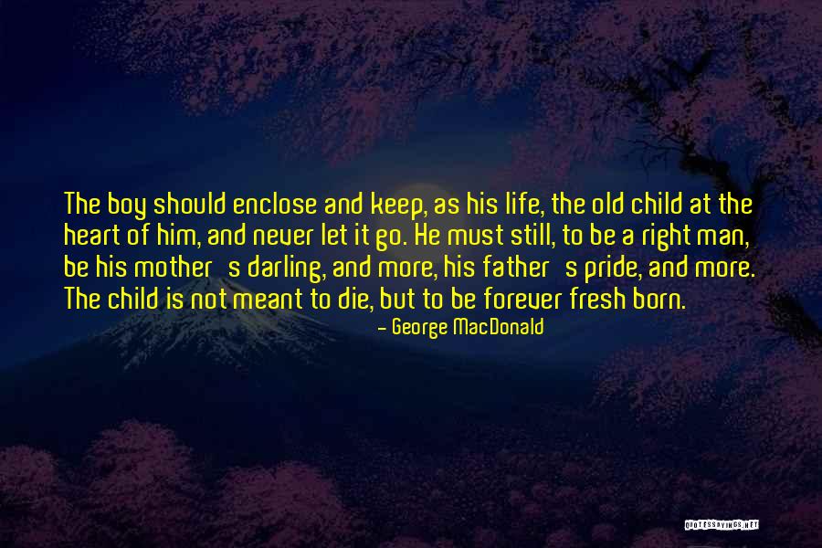 Nancarrow Taxidermy Quotes By George MacDonald Nancarrow Taxidermy Quotes By George MacDonald