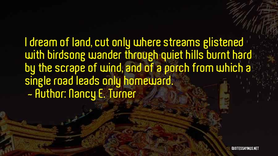 Nancy E. Turner Quotes 1440065