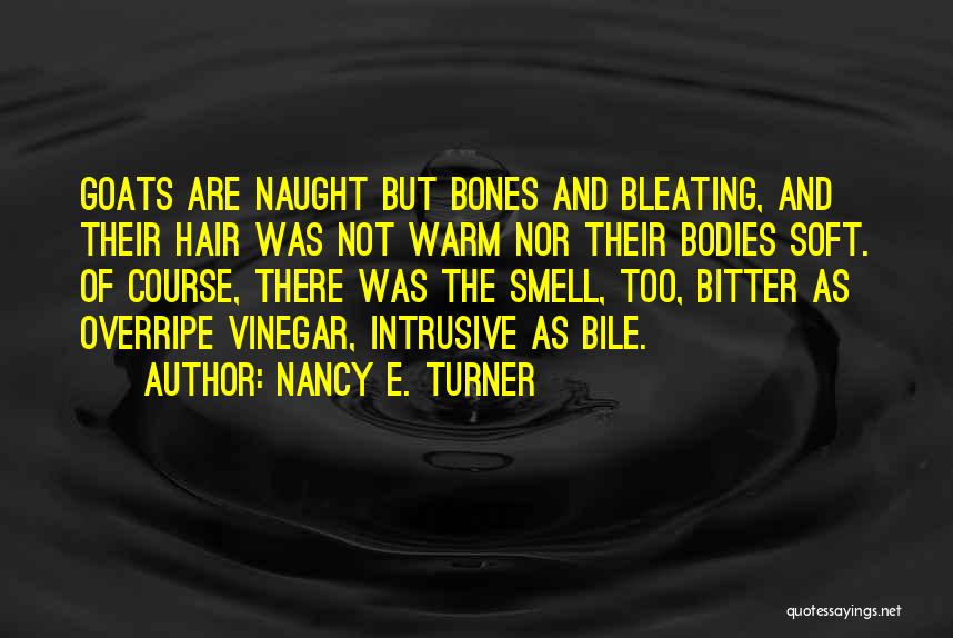 Nancy E. Turner Quotes 166923